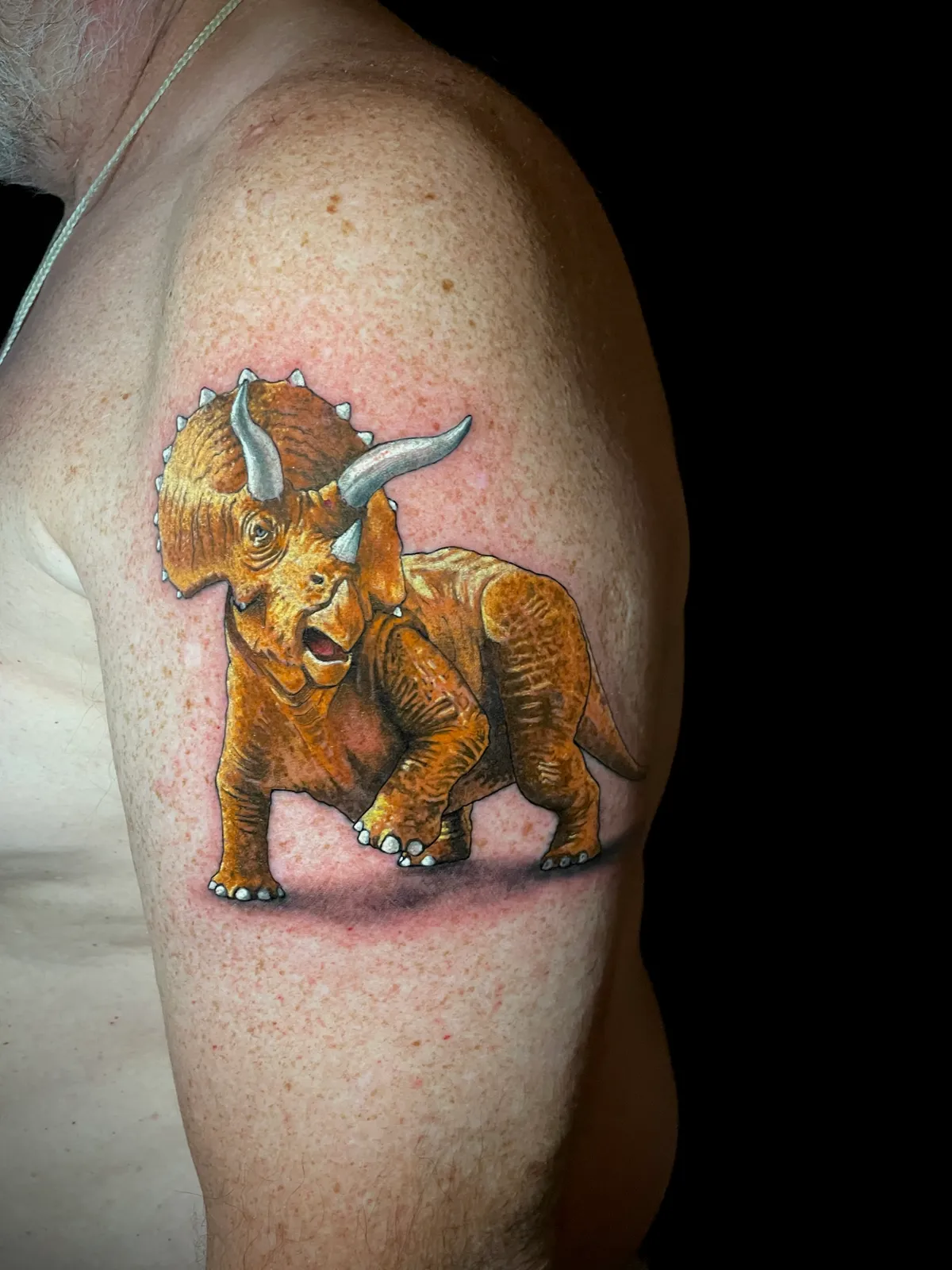 Color realism triceratops dinosaur tattoo on upper arm by Paul Michael Andras