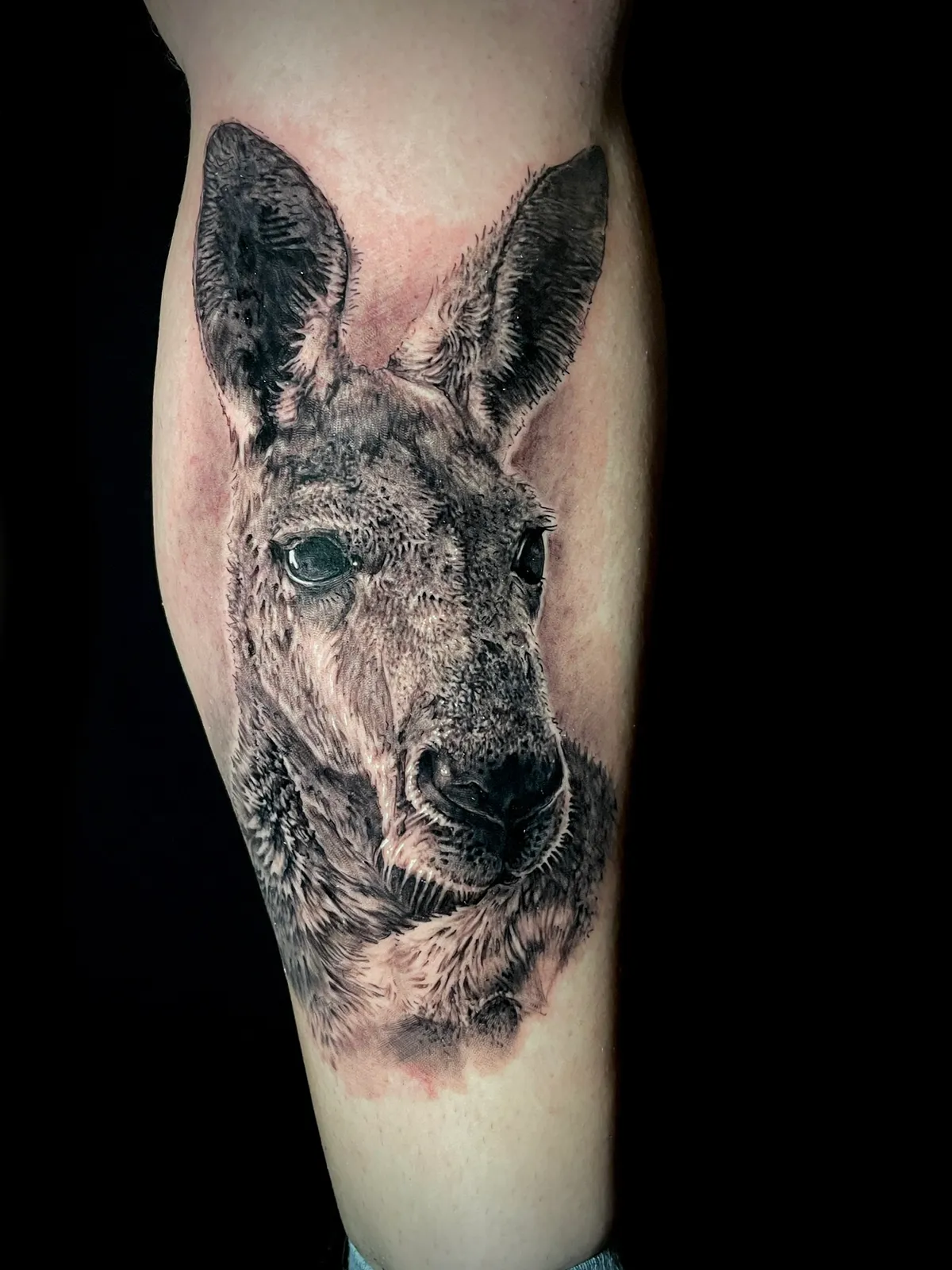 Black and grey realism kangaroo portrait tattoo on calf by Andras Tattoo
